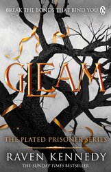 Gleam - фото обкладинки книги