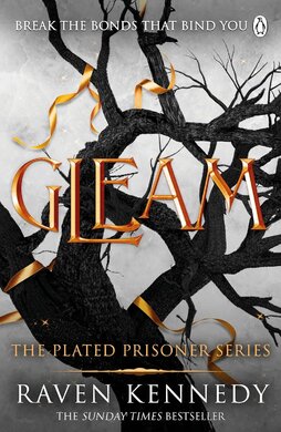 Gleam - фото книги