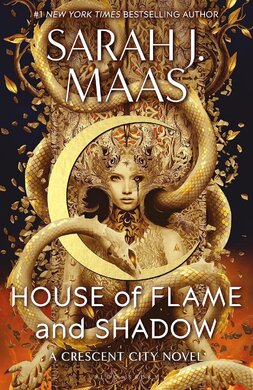 House of Flame and Shadow - фото книги