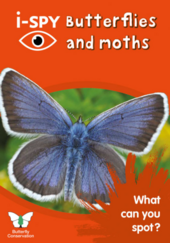 i-SPY Butterflies and Moths : What Can You Spot? - фото обкладинки книги
