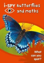 i-SPY Butterflies and Moths: What Can You Spot? - фото обкладинки книги