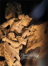 Іоанн Георг Пінзель «Скульптура. Перетворення» - фото обкладинки книги