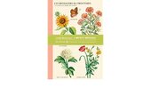 Jardin Botanique Writer's Notebooks. Set Of Three - фото обкладинки книги