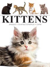 Kittens (Mini Encyclopedias) - фото обкладинки книги