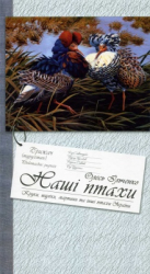 Книга «Наші птахи» Олесь Ільченко - фото обкладинки книги