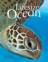 Lifesize Ocean - фото обкладинки книги