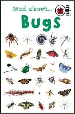 Mad About Bugs - фото книги