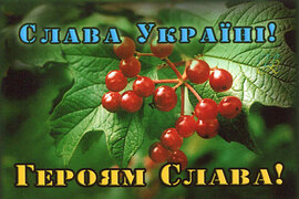 Магніт "Слава Україні Героям Слава" - фото книги