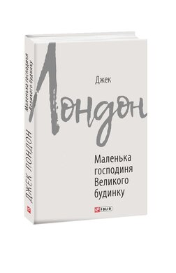 Маленька господиня Великого будинку - фото книги