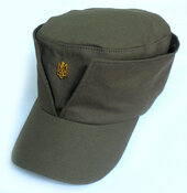 Мазепинка на розріз (плащівка оливкова) - фото обкладинки книги