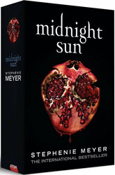 Midnight Sun - фото обкладинки книги