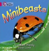 Minibeasts - фото обкладинки книги
