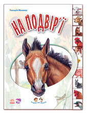 На подвір'ї - фото обкладинки книги