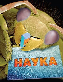 Наука. Повна енциклопедія - фото книги