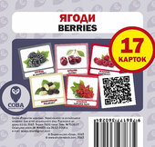 Навчальний посібник «Ягоди / Berries» 17 карток - фото обкладинки книги