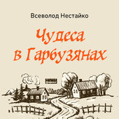 Чудеса в Гарбузянах - фото обкладинки книги