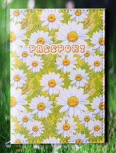 Обкладинка на паспорт "Ромашка" 49 - фото обкладинки книги