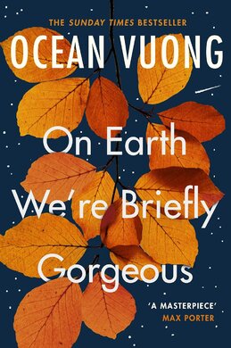 On Earth We're Briefly Gorgeous - фото книги