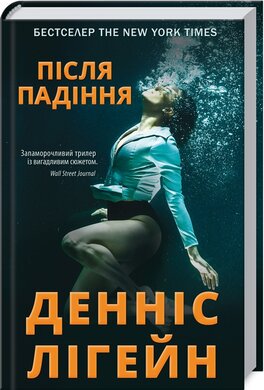 Після падіння - фото книги