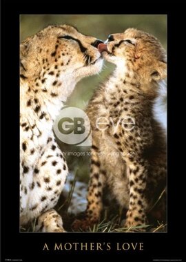 Плакат "A Mothers Love (PH0142)" - фото книги