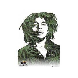 Плакат "Bob Marley  (LP1175)" - фото книги