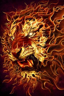Плакат "Fire lion (HR16123)" - фото книги