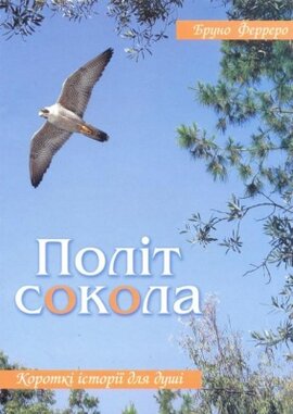 Політ сокола - фото книги