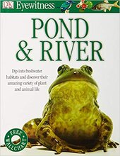 Pond & River - фото обкладинки книги