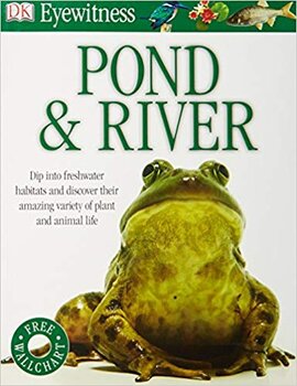 Pond & River - фото книги