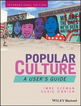 Popular Culture : A User's Guide - фото книги