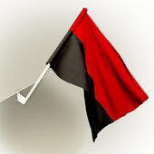 Прапорець УПА з автофлагштоком - фото обкладинки книги