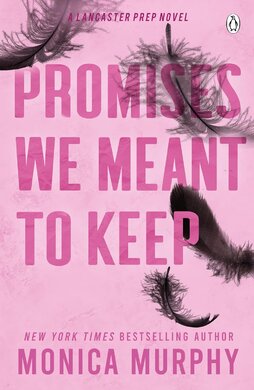 Promises We Meant To Keep (Book 3) - фото книги