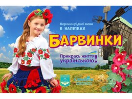 Прикрась життя українською. Барвинки - фото книги