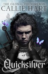 Quicksilver - фото обкладинки книги