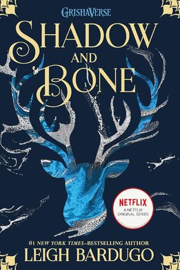 Shadow and Bone (Book 1) - фото книги