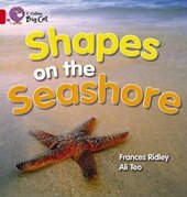 Shapes on the Seashore - фото обкладинки книги