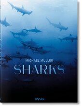Sharks: Face-to Face with the Ocean's Endangered Predator - фото обкладинки книги