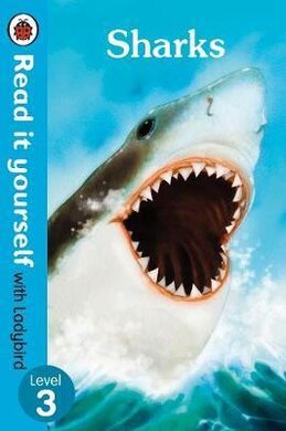 Sharks - Read it yourself with Ladybird: Level 3 (non-fiction) - фото книги