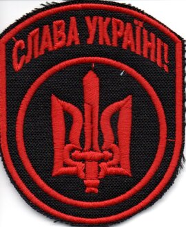 Шеврон Слава Україні В3/004 - фото книги