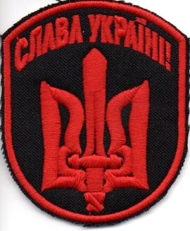 Шеврон Слава Україні В7/004 - фото книги