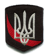 Шеврон Тризуб срібром D2002 - фото обкладинки книги