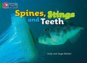 Spines, Stings and Teeth. Workbook - фото обкладинки книги