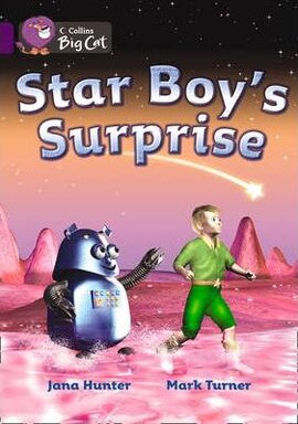 Star Boy's Surprise. Workbook - фото книги