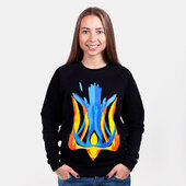 Светр жіночий "Ластівка" - фото обкладинки книги