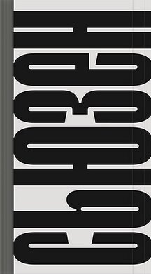 Сьюзен Зонтаг: повне інтервю для журналу Rolling Stone - фото книги