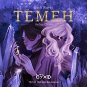 Темен. Вибір Слави. Книга 1 - фото обкладинки книги