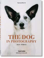 The Dog in Photography 1839–Today - фото обкладинки книги