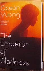 The Emperor of Gladness - фото обкладинки книги