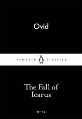 The Fall of Icarus - фото обкладинки книги