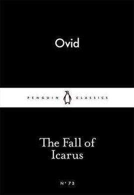 The Fall of Icarus - фото книги
